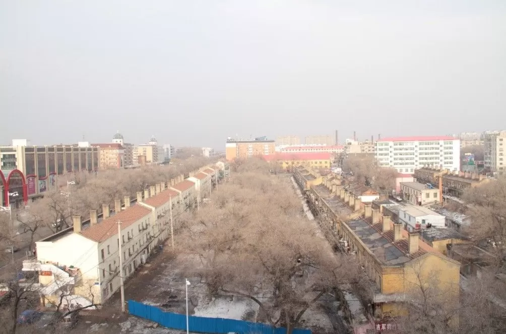 《731：医学的沦陷》：来自历史的真相和个体的血泪证言-第10张图片-