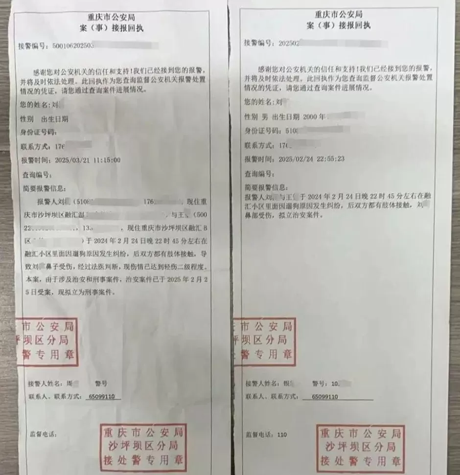 男子被狗追撵、扑倒，质问狗主人遛狗为何不牵绳，反被殴打致轻伤二级，今日宣判：被告狗主人获刑一年-第2张图片-