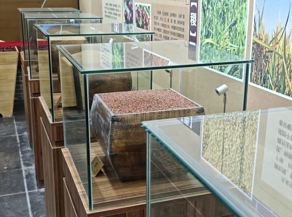 追问“后稷之后,何为稷山”:解码弘扬农耕文明的稷山答案-第8张图片- 追问“后稷之后,何为稷山”:解码弘扬农耕文明的稷山答案-第8张图片-