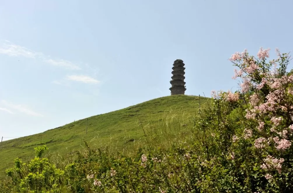 追问“后稷之后,何为稷山”:解码弘扬农耕文明的稷山答案-第13张图片- 追问“后稷之后,何为稷山”:解码弘扬农耕文明的稷山答案-第13张图片-