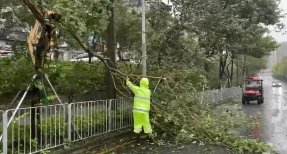 台风“桦加沙”强度略有减弱目前各地有哪些影响?-第8张图片- 台风“桦加沙”强度略有减弱目前各地有哪些影响?-第8张图片-