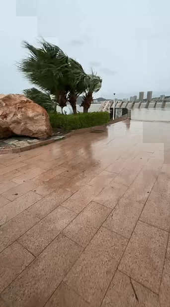 第1现场｜“桦加沙”刚刚登陆，新台风“博罗依”又已生成-第4张图片-