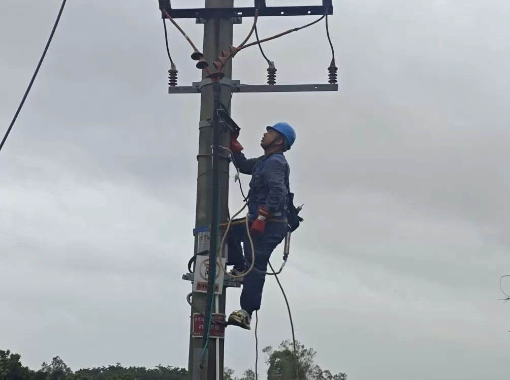 广东受台风影响停电的六成用户已恢复供电，江门一线路因长蛇致短路-第2张图片-