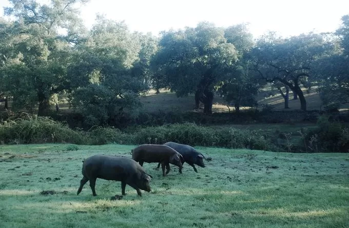 一些不为人知的山谷小镇-第20张图片-