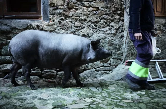 一些不为人知的山谷小镇-第31张图片-