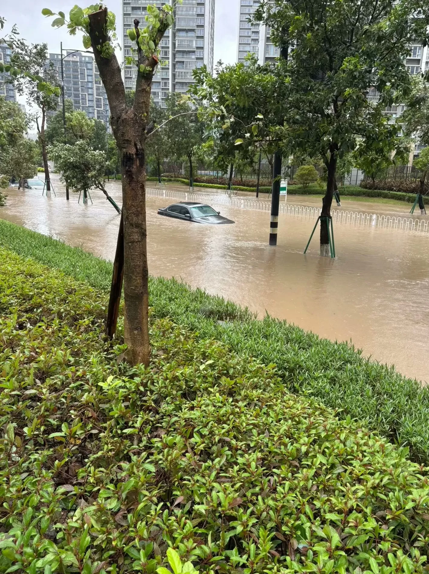 受“桦加沙”影响广东珠海现海水倒灌，居民：多数路段已具备通车条件-第2张图片-