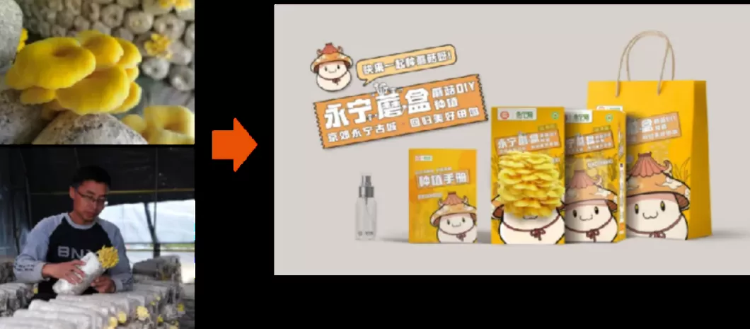 百亿“阳台经济”，谁在买单？-第6张图片-