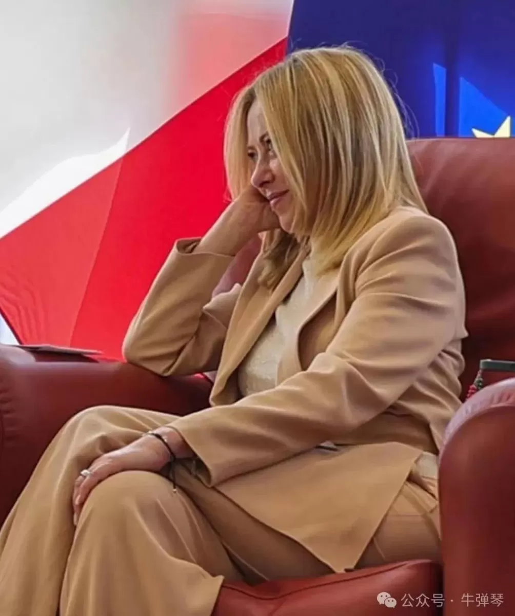 美国迎来一位最特殊客人，世界哭笑不得-第2张图片-