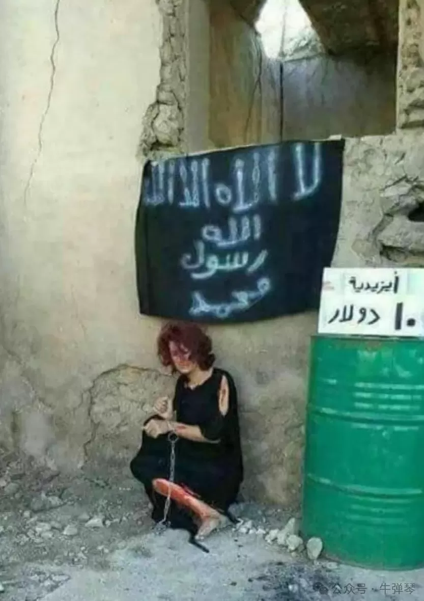 美国迎来一位最特殊客人，世界哭笑不得-第9张图片-