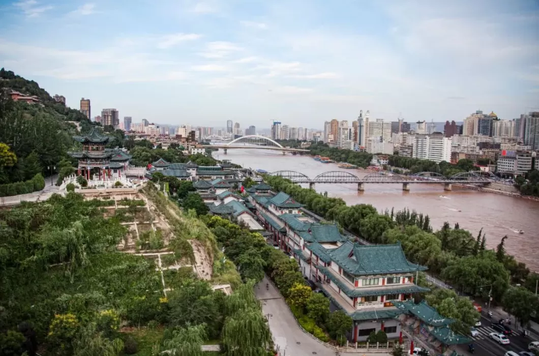 西北城市“除蒿”大战开启，沙蒿为什么这么火？-第1张图片-