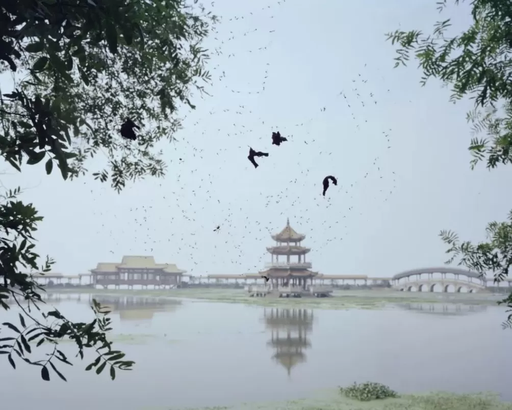 莫干山影会：“直接摄影”应联结土地、时代与个体表达-第9张图片-