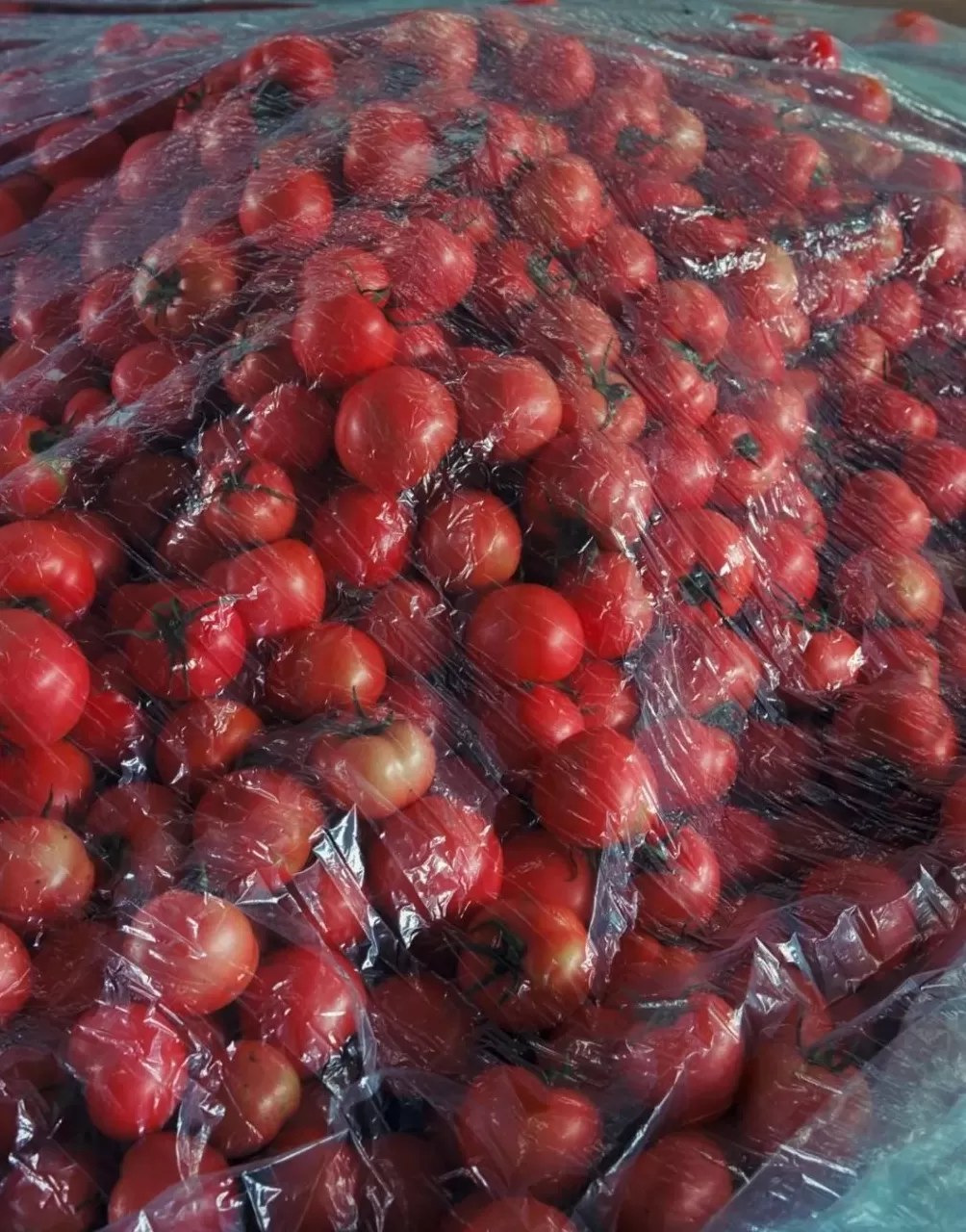 莫干山影会：“直接摄影”应联结土地、时代与个体表达-第10张图片-