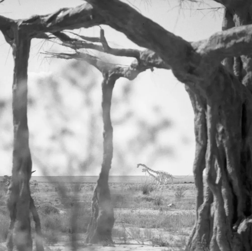 莫干山影会：“直接摄影”应联结土地、时代与个体表达-第11张图片-