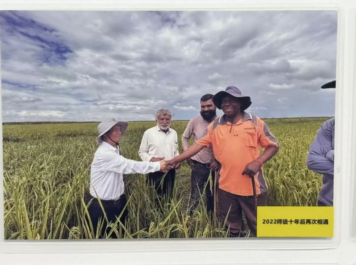 从河西走廊到“一带一路”，种业振兴的“芯”征程-第1张图片-