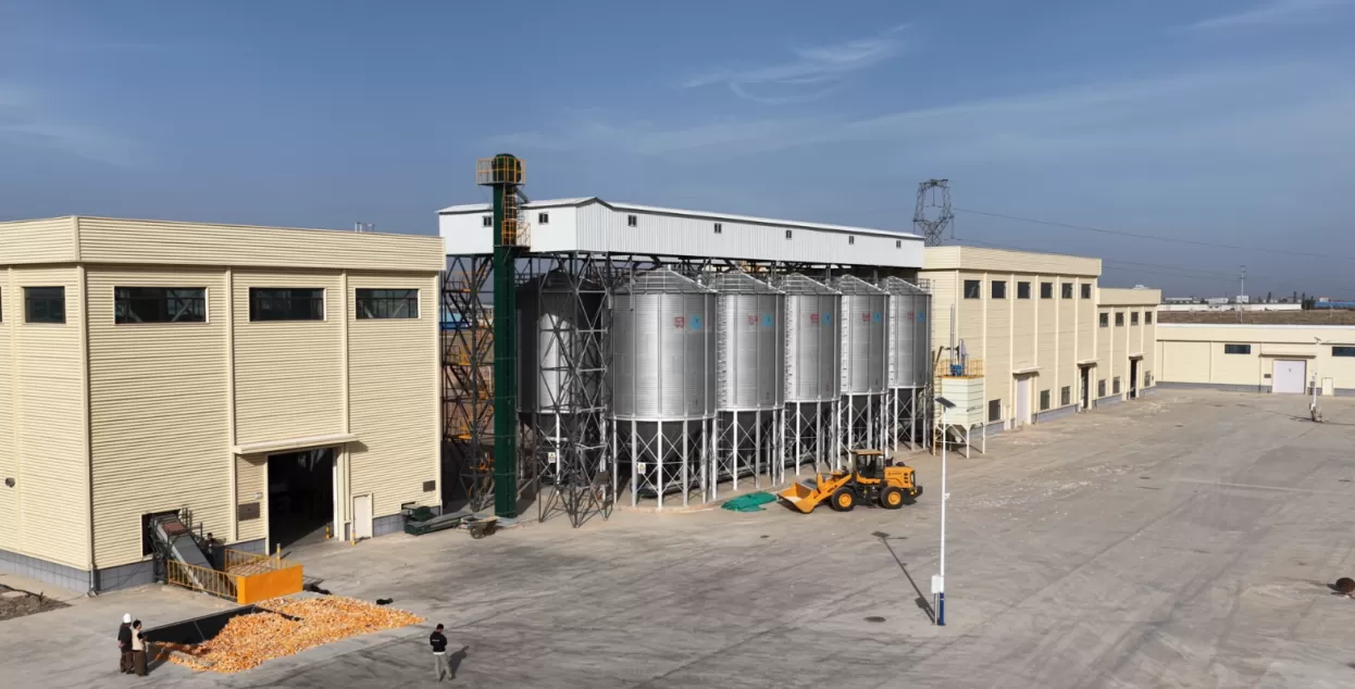 从河西走廊到“一带一路”，种业振兴的“芯”征程-第4张图片-