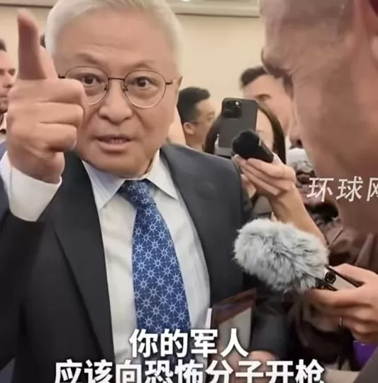 声援加沙的阎学通,“丢了国人的脸”?-第3张图片- 声援加沙的阎学通,“丢了国人的脸”?-第3张图片-