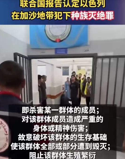 声援加沙的阎学通,“丢了国人的脸”?-第21张图片- 声援加沙的阎学通,“丢了国人的脸”?-第21张图片-