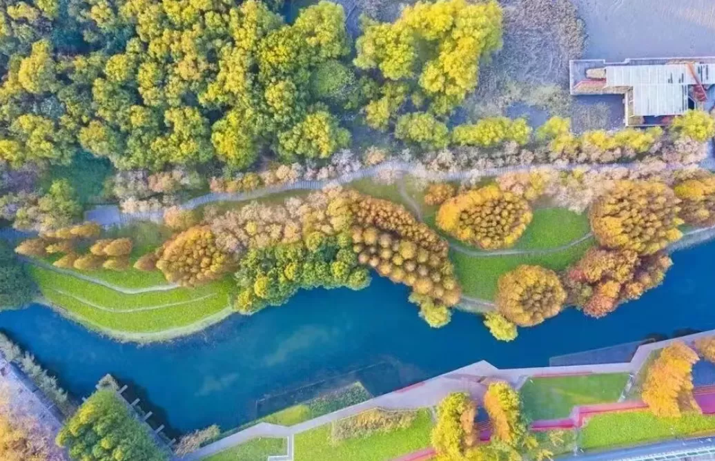 纪念俞孔坚｜人与土地重修旧好-第3张图片-