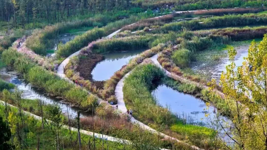 纪念俞孔坚｜人与土地重修旧好-第5张图片-