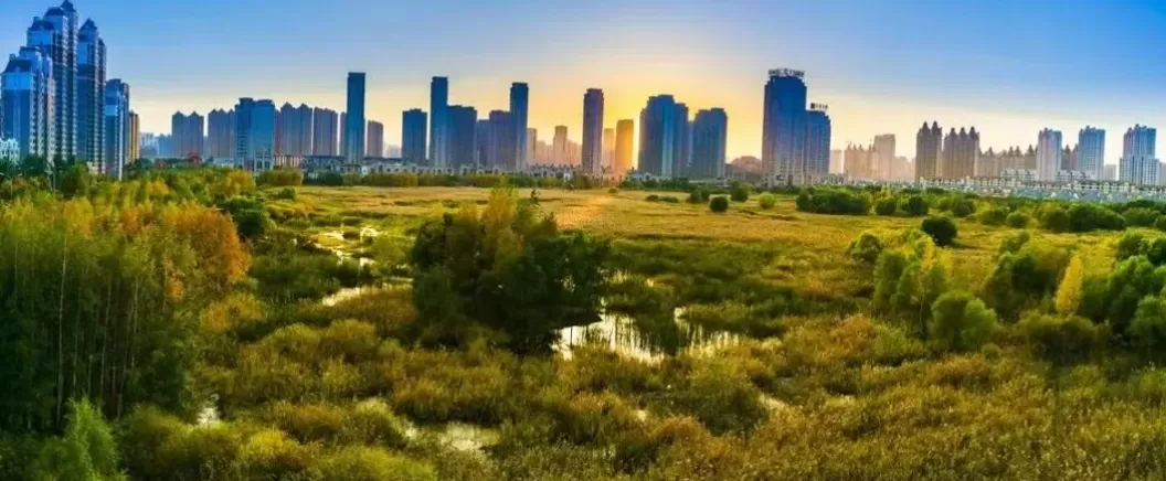 纪念俞孔坚｜人与土地重修旧好-第6张图片-