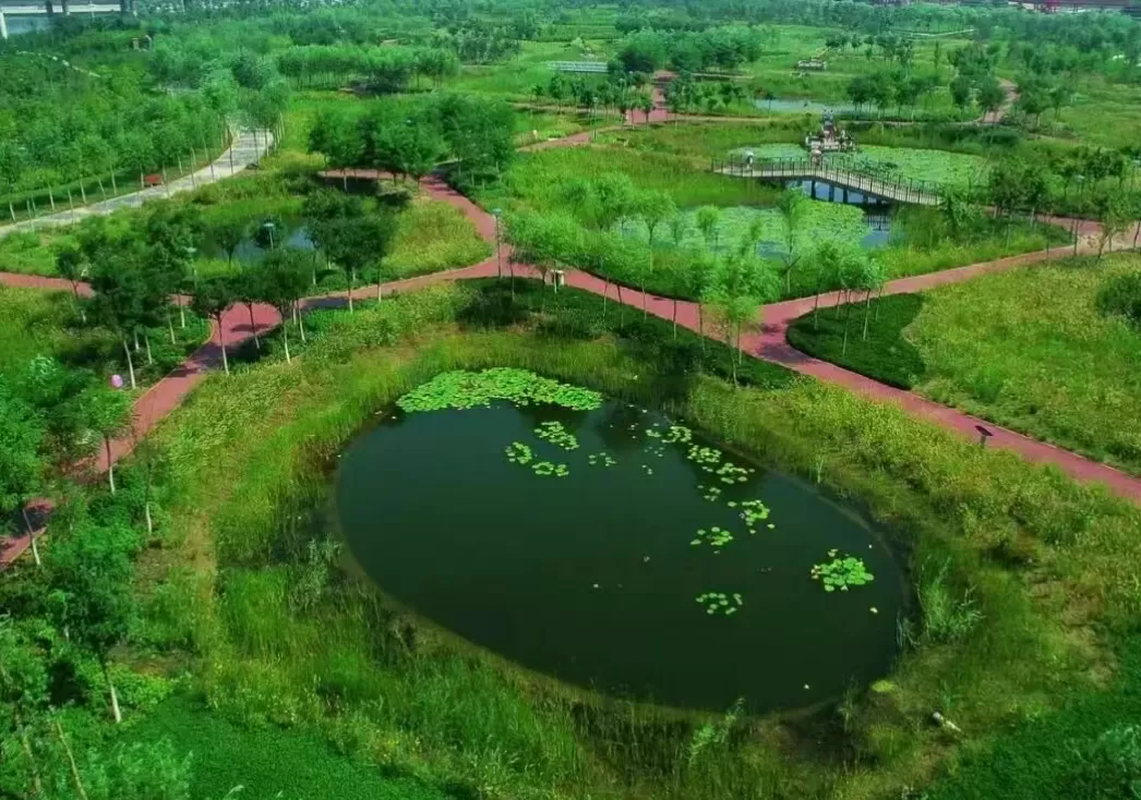 纪念俞孔坚｜人与土地重修旧好-第10张图片-