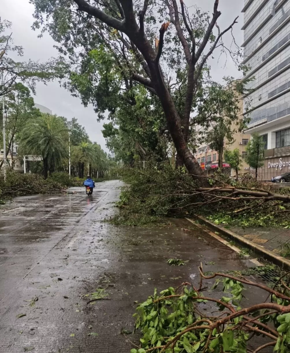 “桦加沙”登陆阳江后：大量树木倒伏，部分村镇水电网待恢复-第1张图片-