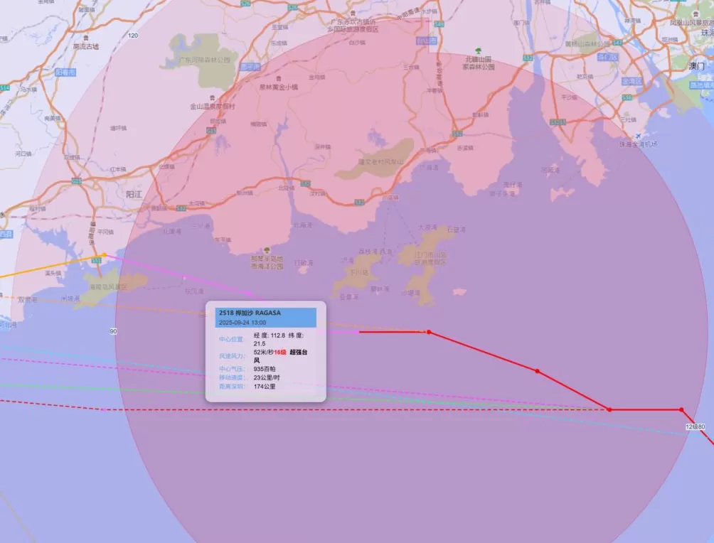“桦加沙”登陆阳江后：大量树木倒伏，部分村镇水电网待恢复-第3张图片-
