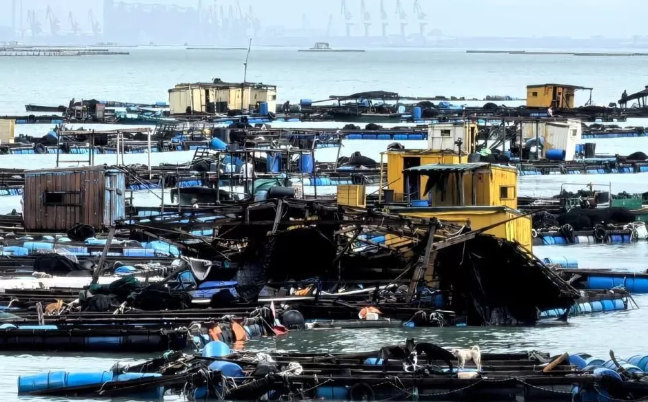 “桦加沙”登陆后的20小时,阳江怎样了?-第2张图片- “桦加沙”登陆后的20小时,阳江怎样了?-第2张图片-