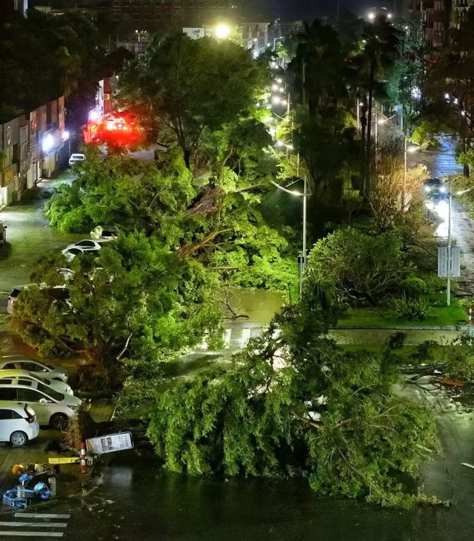 “桦加沙”登陆后的20小时,阳江怎样了?-第1张图片- “桦加沙”登陆后的20小时,阳江怎样了?-第1张图片-