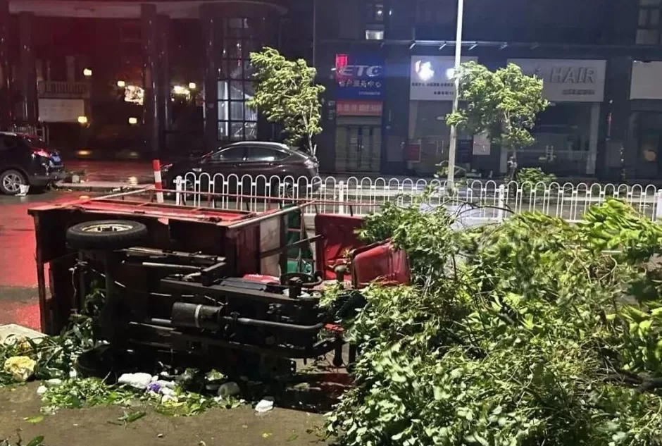 “桦加沙”登陆后的20小时,阳江怎样了?-第5张图片- “桦加沙”登陆后的20小时,阳江怎样了?-第5张图片-