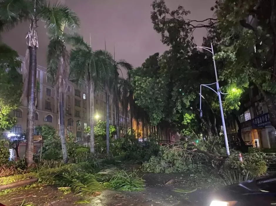 “桦加沙”登陆后的20小时,阳江怎样了?-第3张图片- “桦加沙”登陆后的20小时,阳江怎样了?-第3张图片-