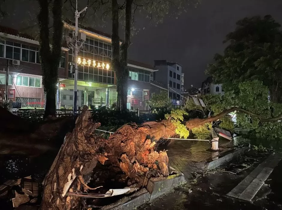 “桦加沙”登陆后的20小时,阳江怎样了?-第6张图片- “桦加沙”登陆后的20小时,阳江怎样了?-第6张图片-