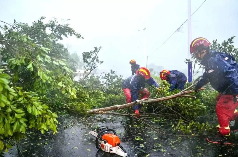 “桦加沙”登陆后的20小时,阳江怎样了?-第8张图片- “桦加沙”登陆后的20小时,阳江怎样了?-第8张图片-