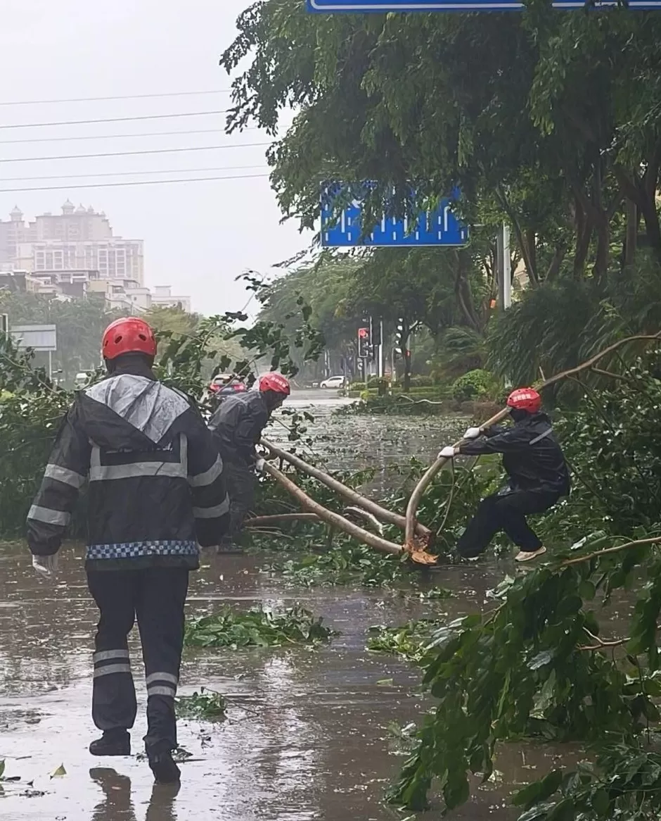 “桦加沙”登陆后的20小时,阳江怎样了?-第10张图片- “桦加沙”登陆后的20小时,阳江怎样了?-第10张图片-