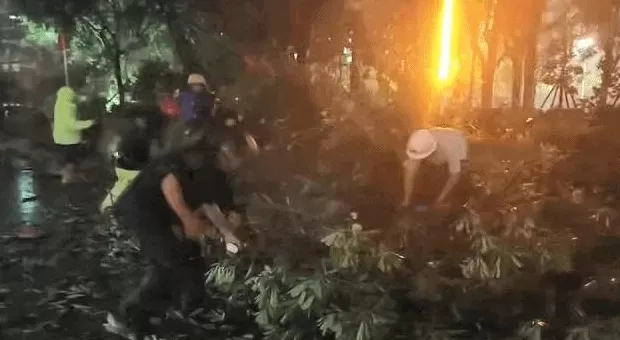 “桦加沙”登陆后的20小时,阳江怎样了?-第9张图片- “桦加沙”登陆后的20小时,阳江怎样了?-第9张图片-