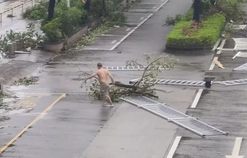 “桦加沙”登陆后的20小时,阳江怎样了?-第11张图片- “桦加沙”登陆后的20小时,阳江怎样了?-第11张图片-