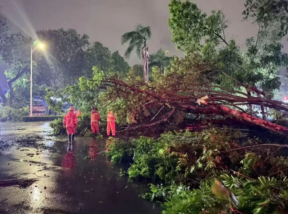 “桦加沙”登陆后的20小时,阳江怎样了?-第12张图片- “桦加沙”登陆后的20小时,阳江怎样了?-第12张图片-