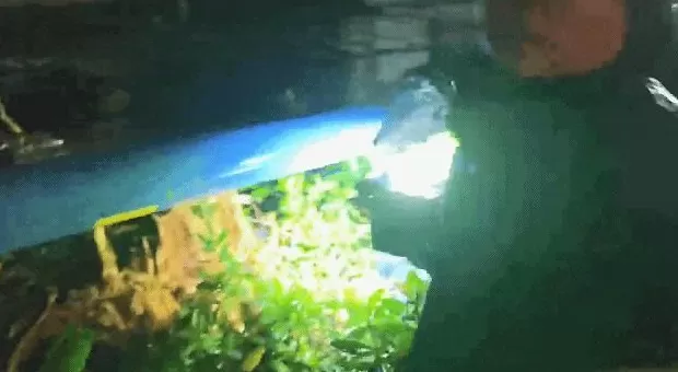 “桦加沙”登陆后的20小时,阳江怎样了?-第14张图片- “桦加沙”登陆后的20小时,阳江怎样了?-第14张图片-