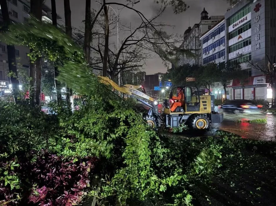 “桦加沙”登陆后的20小时,阳江怎样了?-第13张图片- “桦加沙”登陆后的20小时,阳江怎样了?-第13张图片-