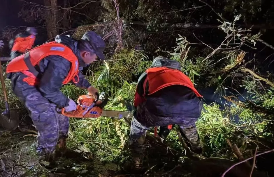 “桦加沙”登陆后的20小时,阳江怎样了?-第16张图片- “桦加沙”登陆后的20小时,阳江怎样了?-第16张图片-