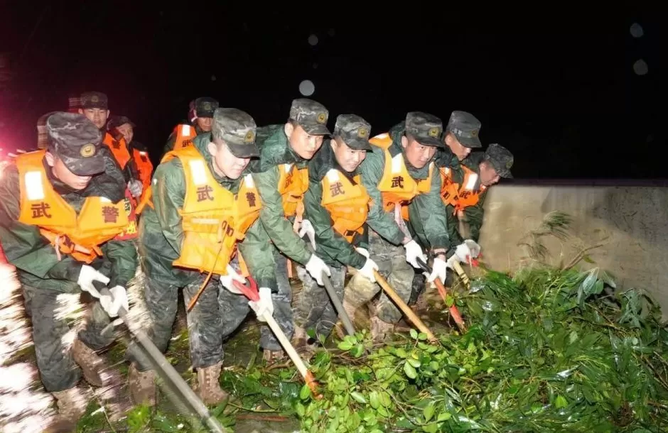 “桦加沙”登陆后的20小时,阳江怎样了?-第15张图片- “桦加沙”登陆后的20小时,阳江怎样了?-第15张图片-