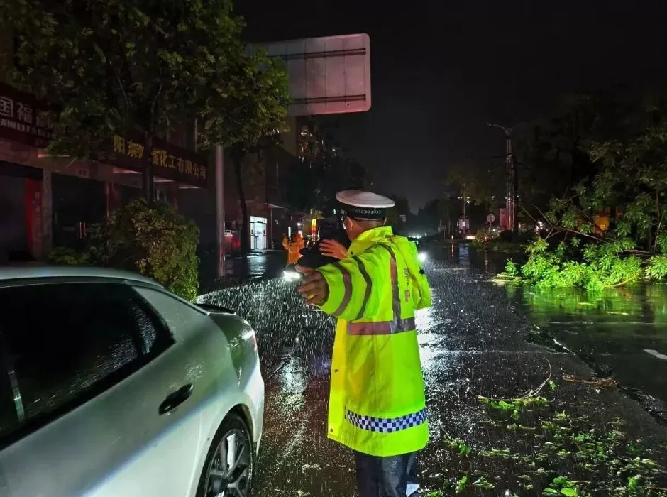 “桦加沙”登陆后的20小时,阳江怎样了?-第19张图片- “桦加沙”登陆后的20小时,阳江怎样了?-第19张图片-
