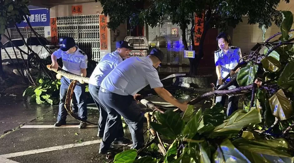 “桦加沙”登陆后的20小时,阳江怎样了?-第17张图片- “桦加沙”登陆后的20小时,阳江怎样了?-第17张图片-