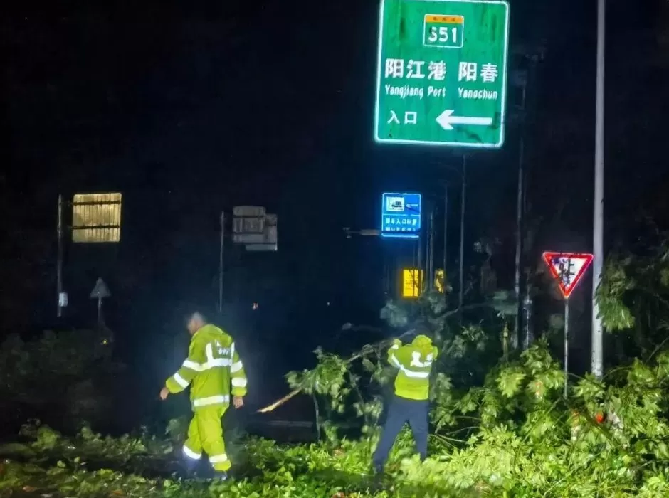 “桦加沙”登陆后的20小时,阳江怎样了?-第18张图片- “桦加沙”登陆后的20小时,阳江怎样了?-第18张图片-