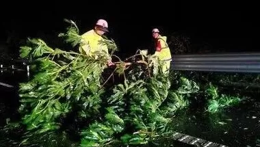 “桦加沙”登陆后的20小时,阳江怎样了?-第22张图片- “桦加沙”登陆后的20小时,阳江怎样了?-第22张图片-