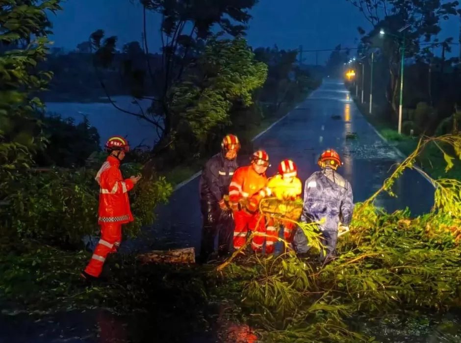 “桦加沙”登陆后的20小时,阳江怎样了?-第20张图片- “桦加沙”登陆后的20小时,阳江怎样了?-第20张图片-
