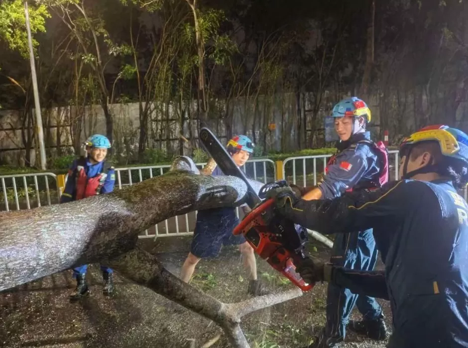 “桦加沙”登陆后的20小时,阳江怎样了?-第24张图片- “桦加沙”登陆后的20小时,阳江怎样了?-第24张图片-