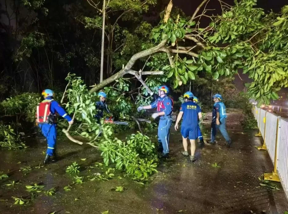 “桦加沙”登陆后的20小时,阳江怎样了?-第25张图片- “桦加沙”登陆后的20小时,阳江怎样了?-第25张图片-