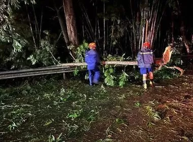 “桦加沙”登陆后的20小时,阳江怎样了?-第27张图片- “桦加沙”登陆后的20小时,阳江怎样了?-第27张图片-