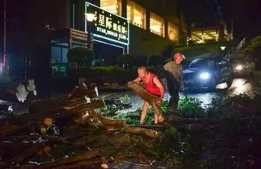 “桦加沙”登陆后的20小时,阳江怎样了?-第30张图片- “桦加沙”登陆后的20小时,阳江怎样了?-第30张图片-